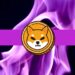 Shiba Inu Burn Rate Explodes 1,300%, What Does it Mean for SHIB’s Price?