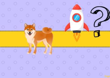 This Bullish Shiba Inu Metric Shoots 3,000%, Could It Trigger SHIB Price Rally?