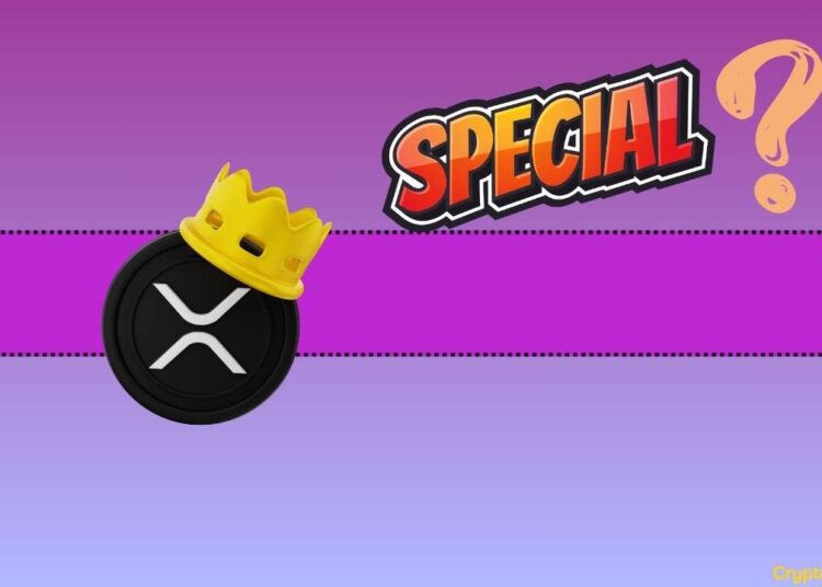 Here Is Why Next Bull Cycle Could be ‘Special’ for Ripple (XRP)