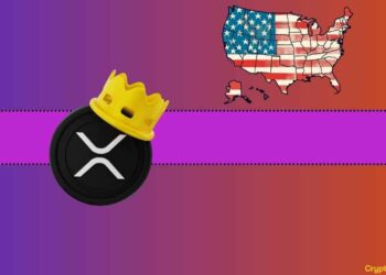 Ripple (XRP) Dominates Ethereum (ETH) in Interest in Almost Every US State
