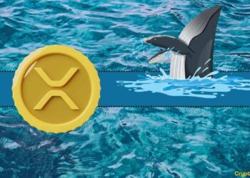 Important Ripple (XRP) Metric Hits Its Highest Level in 2023: Details