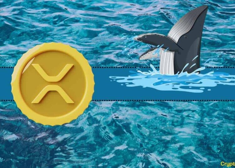 Important Ripple (XRP) Metric Hits Its Highest Level in 2023: Details