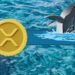 Important Ripple (XRP) Metric Hits Its Highest Level in 2023: Details