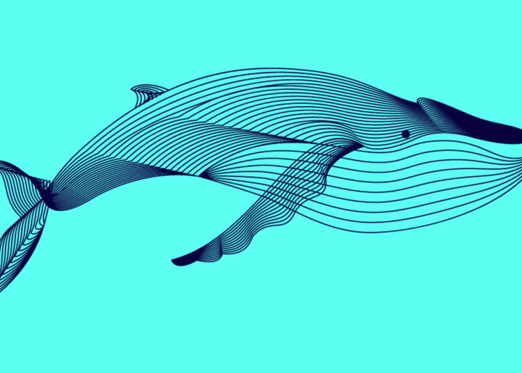 Crypto Whale With $158,180,000 Worth of Chainlink Starts Sending LINK to Binance: Lookonchain