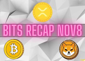Ripple (XRP) Price Turbulence, Bitcoin (BTC) Developments, Shiba Inu (SHIB) Burn Rate: Bits Recap Nov 8