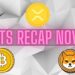 Ripple (XRP) Price Turbulence, Bitcoin (BTC) Developments, Shiba Inu (SHIB) Burn Rate: Bits Recap Nov 8