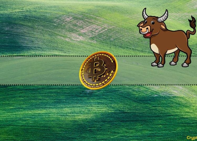 Analyst With Bullish Bitcoin Price Prediction