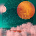 Space Technology Firm Plans To Take Physical Dogecoin (DOGE) to the Moon Next Month