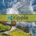 Another Huge Win for Ripple (XRP) as Georgia’s National Bank Selects it for CBDC Pilot Project