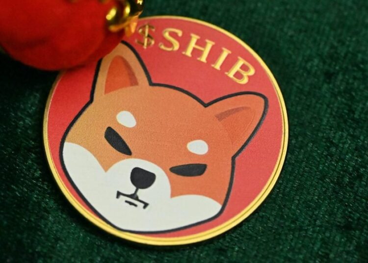 Shiba Inu (SHIB) Shakes Crypto World with 500% On-Chain Surge in Just 48 Hours