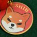 Shiba Inu (SHIB) Shakes Crypto World with 500% On-Chain Surge in Just 48 Hours