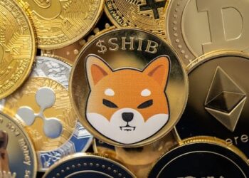 What Will be the Next Big Meme Coin?