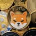 What Will be the Next Big Meme Coin?