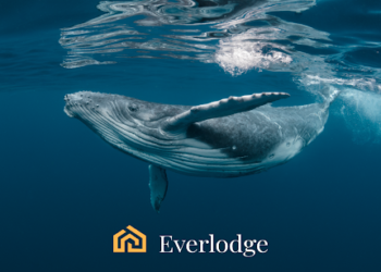 Whales Best Coins for December – Ripple, Polygon, Everlodge