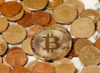 Generate Wealth With Quality Cryptocurrency Projects, Not Dog Tokens