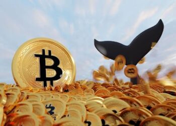 Last Chance to Buy Before Whales Take Notice!