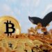 Last Chance to Buy Before Whales Take Notice!