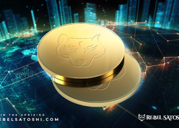 Rising Above Shiba Inu’s Meme Status, an Unnamed Coin Sets New Standards in Crypto
