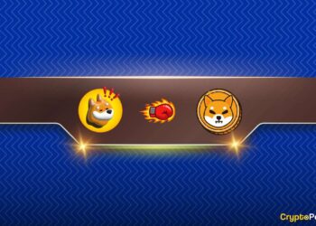 Will BONK Flip Shiba Inu (SHIB)? Arthur Hayes Chips In