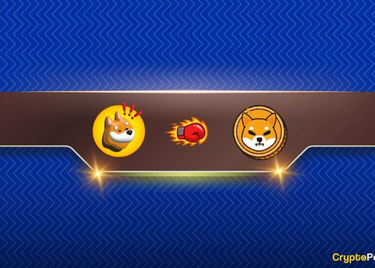 Will BONK Flip Shiba Inu (SHIB)? Arthur Hayes Chips In