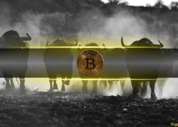 8 Signs The Bitcoin Price Bull Market Isn’t Over