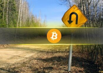 Bitcoin Ends 11-Week Winning Streak With $33M Outflows While Altcoins Buck Trend: CoinShares