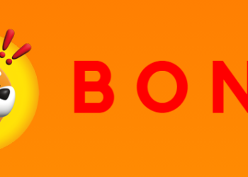 Binance Boosts BONK Trading with Commission-Free Trading Options