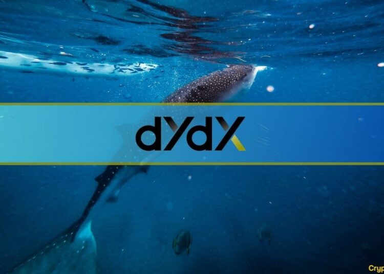 Here’s How Whales Navigated dYdX’s 150M Token Unlock