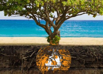 3 Climate-Focused Blockchain Projects That Promise Green Revolution