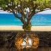 3 Climate-Focused Blockchain Projects That Promise Green Revolution