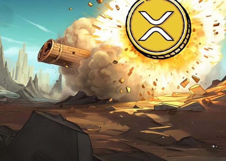 Ripple (XRP) Beats 68% of Altcoins, But Sees December Bull Run Waver – What's the Catch?