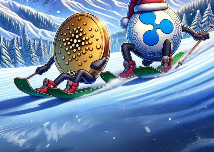 Cardano (ADA) And Ripple (XRP) Festive Divergence, Who's Set For A Historic December Performance?