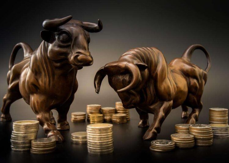 Polkadot’s Soaring Revenue Sparks Price Speculation