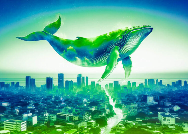 Polygon Whales Go on Buying Spree As $90,000,000 Worth of MATIC Gets Scooped Up: Trader