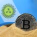 Argentina Opens its Doors to Bitcoin for Official Procurement