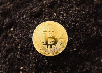 El Salvador Celebrates $3 Million in Bitcoin Profits in a Resounding Success