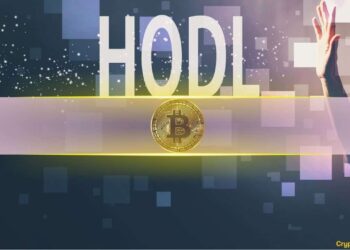 The Power of 2-3 Year HODLing