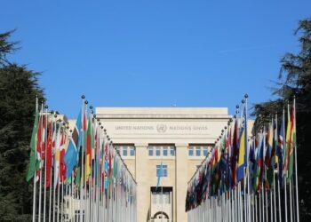 New Digital Governance and Transparency
