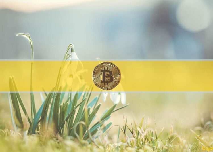 Experts Weigh in on Bitcoin’s (BTC) Price as Market Shakes off 2022 Crypto Winter Challenges