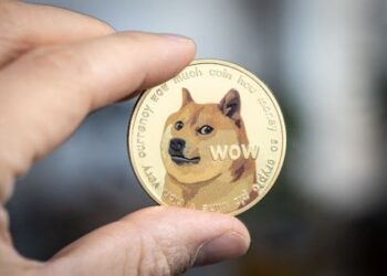 Doge Investors Eye New Opportunity Primed for Explosive Growth in 2024