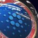 Cardano Investors Reflect on Recent ADA Actions; Big Players Eye New AI Crypto Project