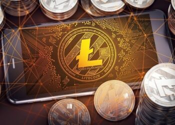 Prime Crypto Choices for the Upcoming Year: Spotlighting $ROE, LTC, and APT