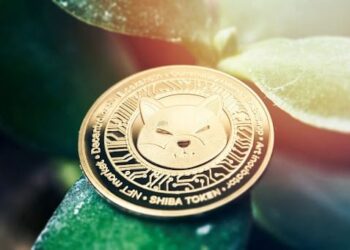 Shiba Inu (SHIB) Burns 8.6B Tokens Over Weekend; Render (RDNR) and InQubeta (QUBE) Emerge as Long-Term Picks