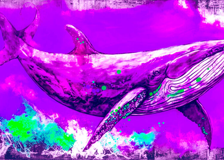 Crypto Whales Give Chainlink Boost After Accumulating $50,000,000 More in LINK: Santiment