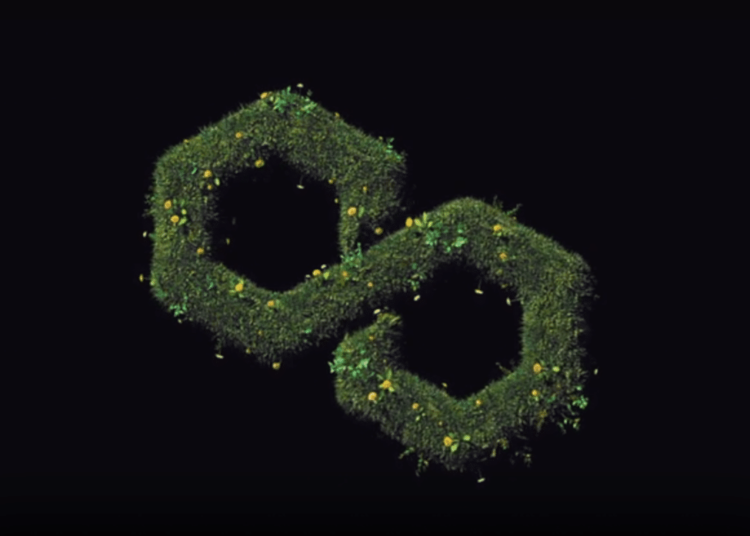 Taki Games Expands into Web3 with Unite Merger and Polygon Integration