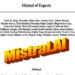 Mixtral 8x7B: Elevating Language Modeling with Expert Architecture