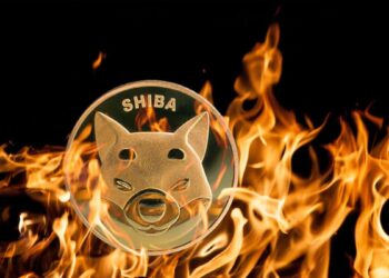 Shiba Inu Community Sparks Fire: Burns 100 Million Tokens