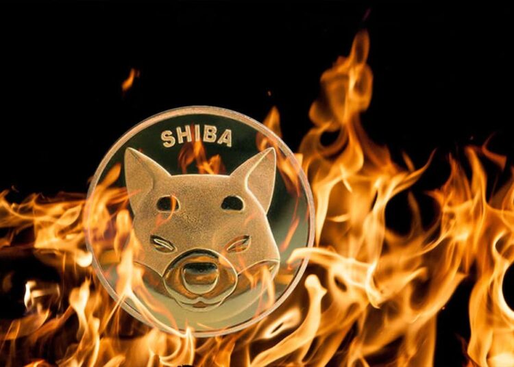 Shiba Inu Community Sparks Fire: Burns 100 Million Tokens