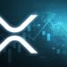 Valkyrie CIO Drops Hints about XRP ETFs