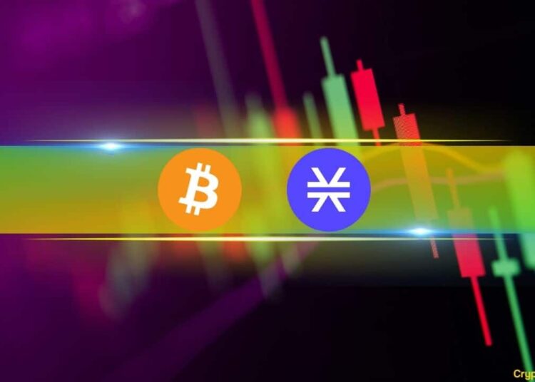 BTC Stalls at $44K, STX Defies Market Sentiment as Altcoins Keep Bleeding Out (Market Watch)